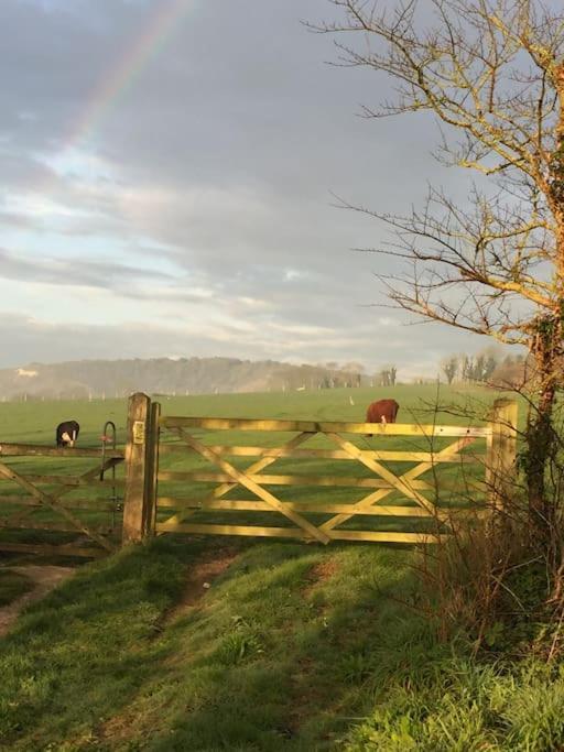 Frog Firle View Holiday home *
